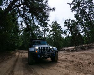 Preview wallpaper jeep wrangler, jeep, car, suv, gray, forest