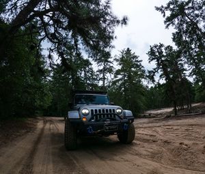 Preview wallpaper jeep wrangler, jeep, car, suv, gray, forest