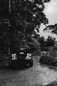 Preview wallpaper jeep wrangler, jeep, car, suv, black and white
