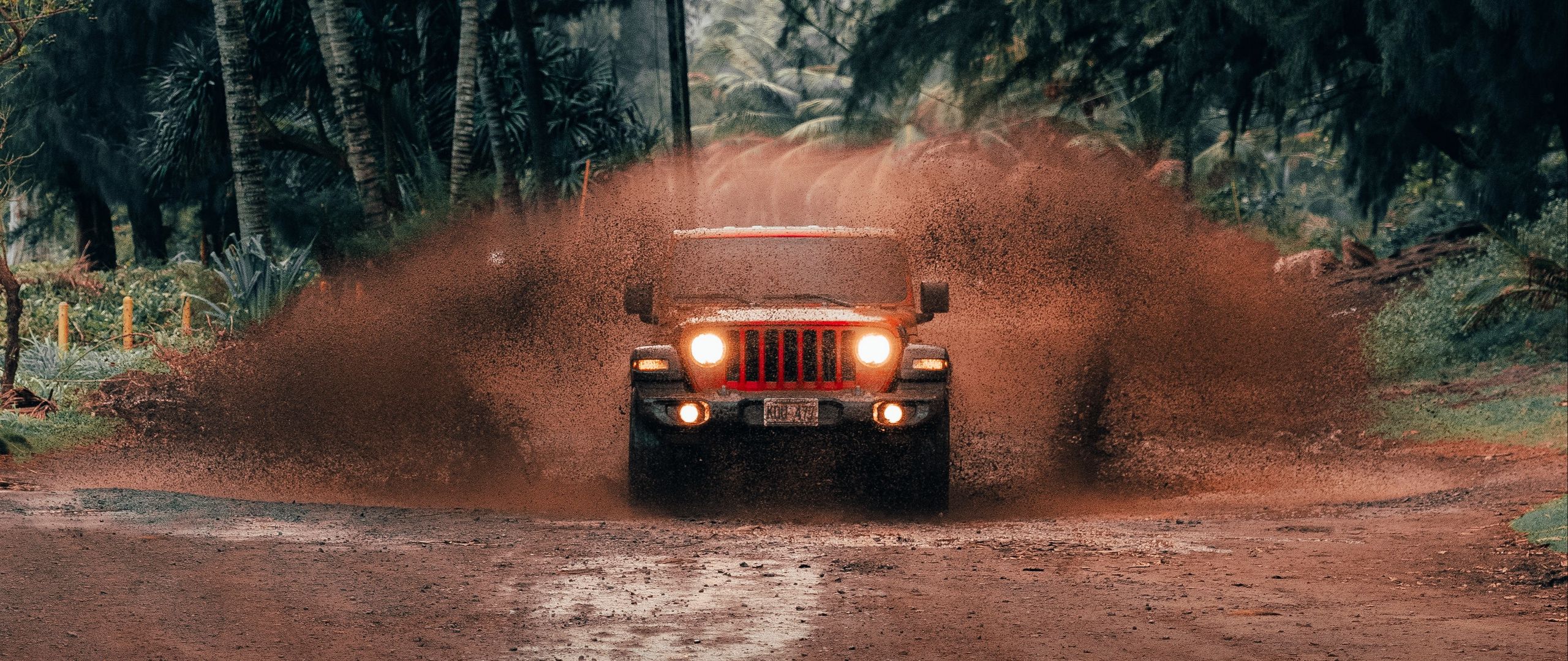 Download wallpaper 2560x1080 jeep wrangler, jeep, car, suv, red, tropics  dual wide 1080p hd background