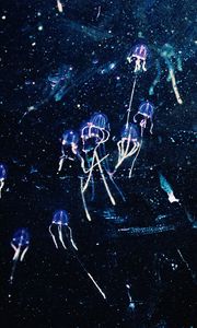 Preview wallpaper jellyfish, art, shine