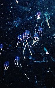 Preview wallpaper jellyfish, art, shine