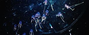 Preview wallpaper jellyfish, art, shine