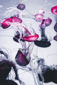 Preview wallpaper jellyfish, beautiful, tentacle, white