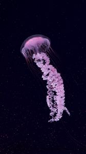 Preview wallpaper jellyfish, beautiful, tentacle, particles