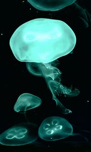 Preview wallpaper jellyfish, blue, dark, underwater world