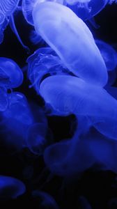 Preview wallpaper jellyfish, blue, glow, underwater world, dark