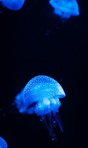 Preview wallpaper jellyfish, blue, glow, underwater world, sea