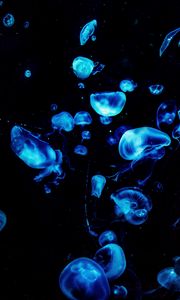 Preview wallpaper jellyfish, blue, glow, underwater, dark