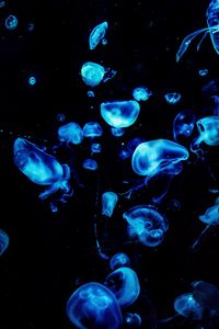 Preview wallpaper jellyfish, blue, glow, underwater, dark