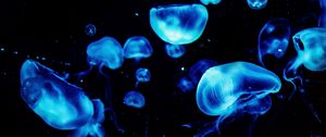 Preview wallpaper jellyfish, blue, glow, underwater, dark
