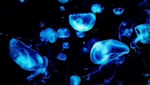 Preview wallpaper jellyfish, blue, glow, underwater, dark