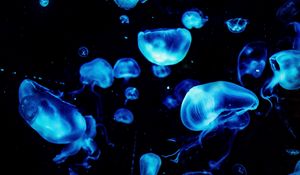Preview wallpaper jellyfish, blue, glow, underwater, dark