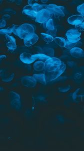 Preview wallpaper jellyfish, blue, transparent, dark, underwater