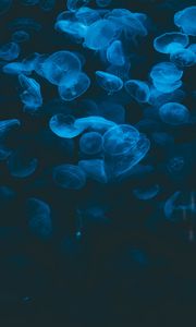 Preview wallpaper jellyfish, blue, transparent, dark, underwater