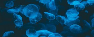 Preview wallpaper jellyfish, blue, transparent, dark, underwater