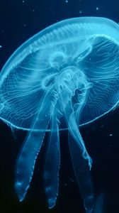 Preview wallpaper jellyfish, blue, underwater world, dark