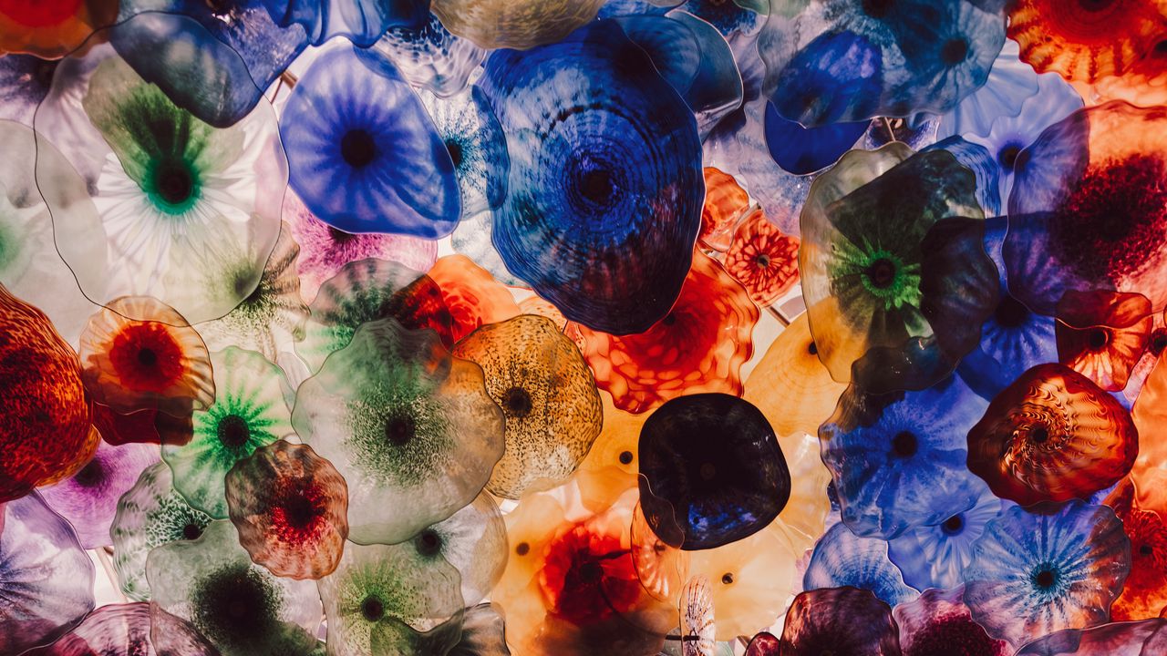 Wallpaper jellyfish, colorful, creatures