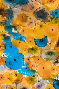 Preview wallpaper jellyfish, colorful, sea, depth, underwater