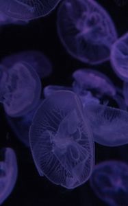 Preview wallpaper jellyfish, dark, beautiful, purple