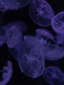 Preview wallpaper jellyfish, dark, beautiful, purple