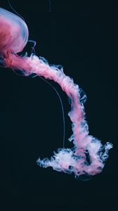 Preview wallpaper jellyfish, dark, pink
