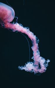 Preview wallpaper jellyfish, dark, pink