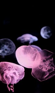 Preview wallpaper jellyfish, dark, underwater world, glow