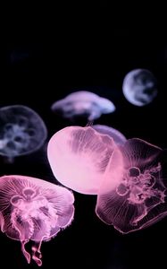 Preview wallpaper jellyfish, dark, underwater world, glow