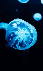 Preview wallpaper jellyfish, glow, blue, underwater