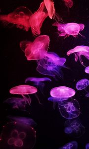 Preview wallpaper jellyfish, glow, dark, tentacle