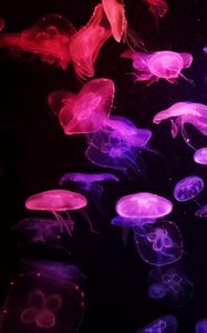 Preview wallpaper jellyfish, glow, dark, tentacle