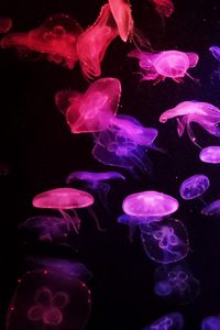 Preview wallpaper jellyfish, glow, dark, tentacle