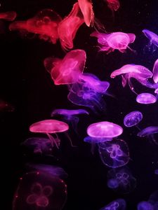 Preview wallpaper jellyfish, glow, dark, tentacle