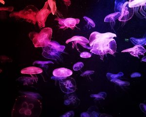 Preview wallpaper jellyfish, glow, dark, tentacle