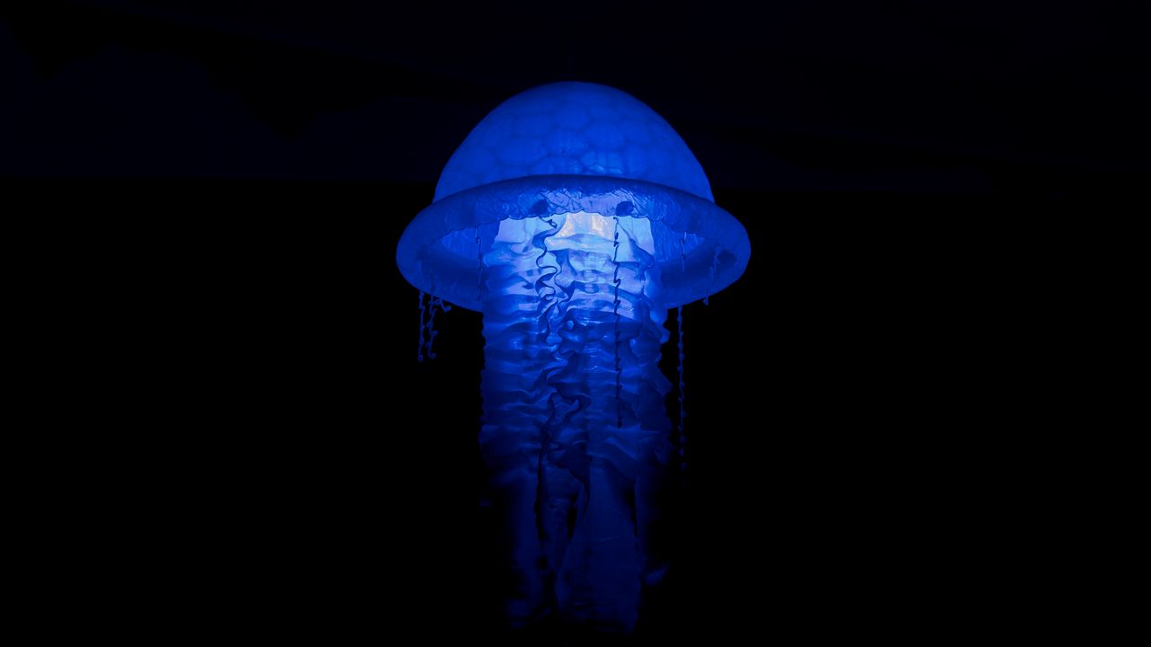 Wallpaper jellyfish, glow, lamp, blue, dark