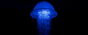 Preview wallpaper jellyfish, glow, lamp, blue, dark