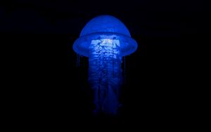 Preview wallpaper jellyfish, glow, lamp, blue, dark