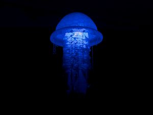 Preview wallpaper jellyfish, glow, lamp, blue, dark