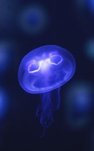 Preview wallpaper jellyfish, glow, purple, neon, underwater world