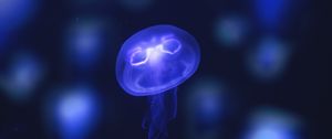 Preview wallpaper jellyfish, glow, purple, neon, underwater world