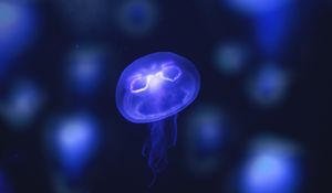 Preview wallpaper jellyfish, glow, purple, neon, underwater world