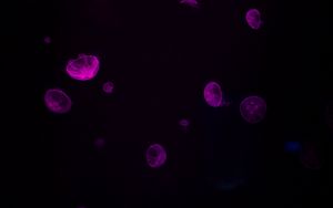 Preview wallpaper jellyfish, glow, purple, dark, underwater