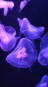 Preview wallpaper jellyfish, glow, tentacle, dark