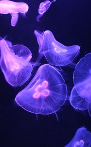 Preview wallpaper jellyfish, glow, tentacle, dark