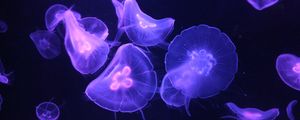 Preview wallpaper jellyfish, glow, tentacle, dark