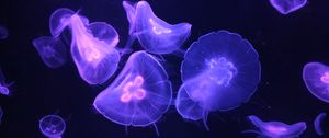 Preview wallpaper jellyfish, glow, tentacle, dark