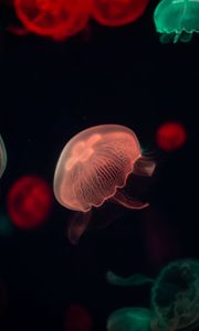 Preview wallpaper jellyfish, glow, tentacle, water, dark