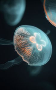 Preview wallpaper jellyfish, glow, underwater, tentacle