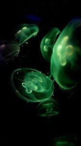 Preview wallpaper jellyfish, glow, underwater, green, dark